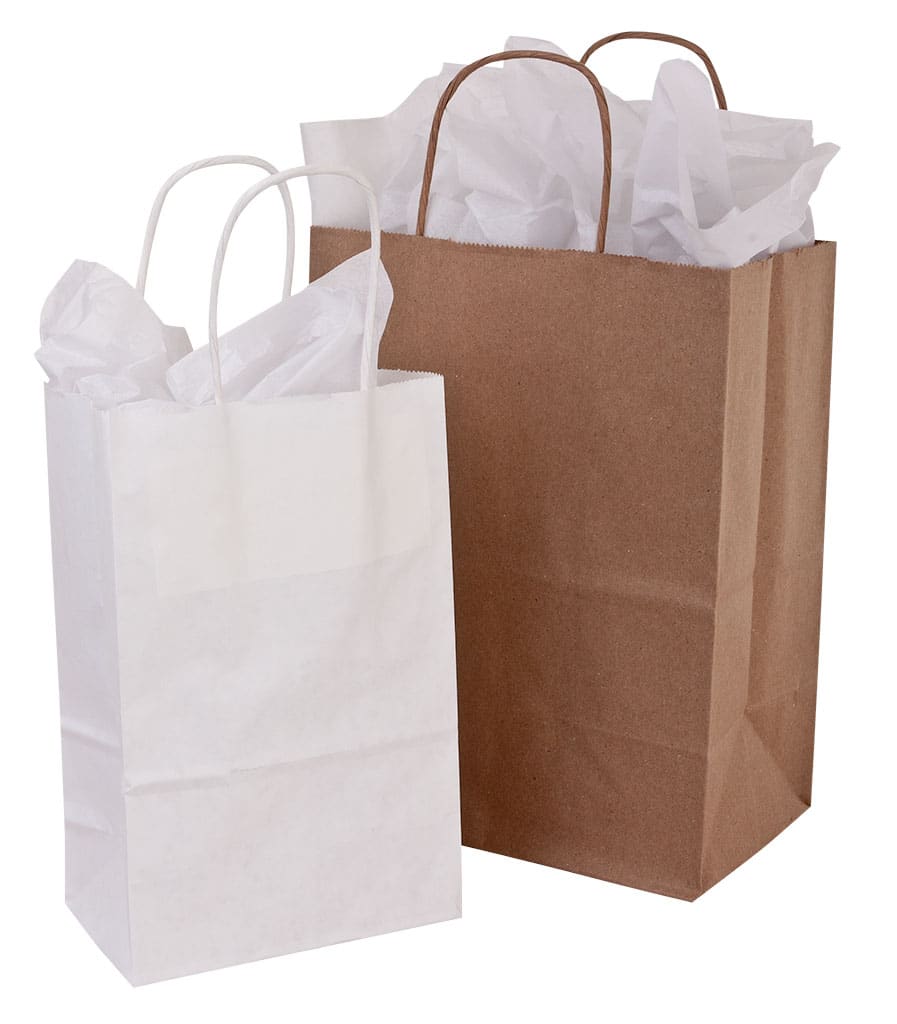 ROPE HANDLE PAPER BAG WHITE CASE OF 250 BAGS | Detroit Store Fixture